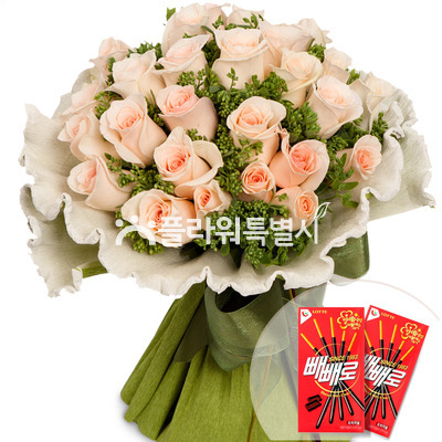 세잎클로버