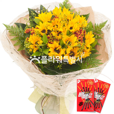 햇살가득(빼빼로)