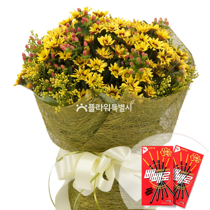 상세이미지