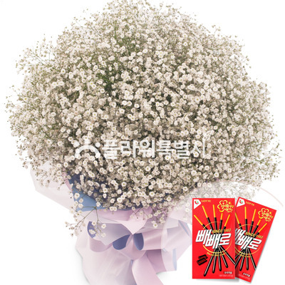 안개꽃다발(빼빼로)