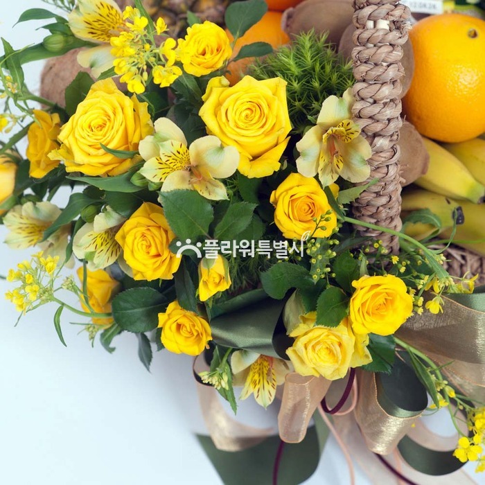 상세이미지