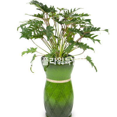 셀렘마블2