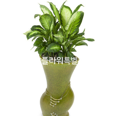 마블마리안느