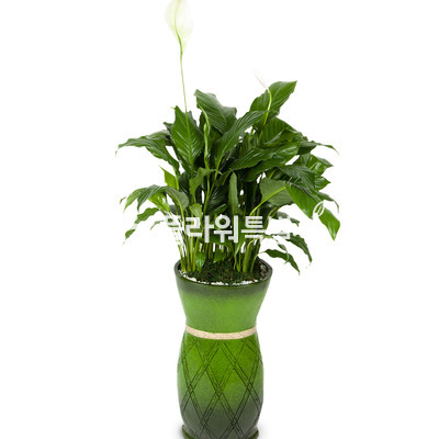 마블스파트필름