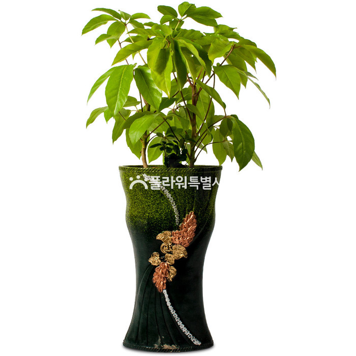 상세이미지