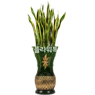 산세베리아마블화분