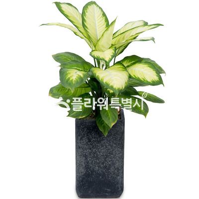 마리안느