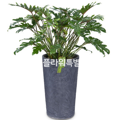 셀렘마블
