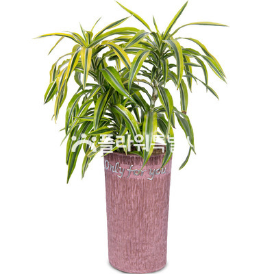 골든라인3