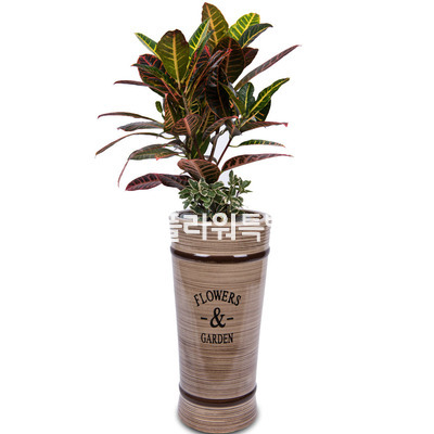 크로톤사기분1