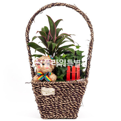 토피어리소품바구니