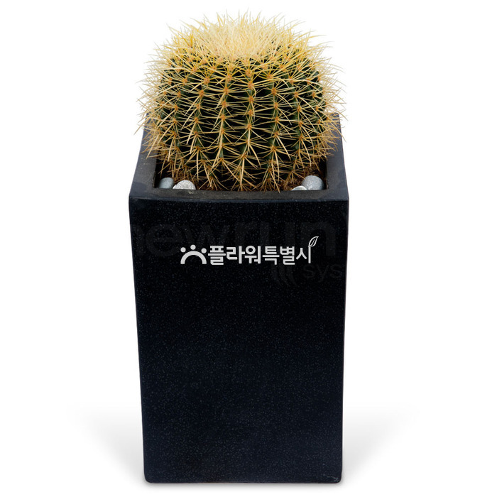 상세이미지