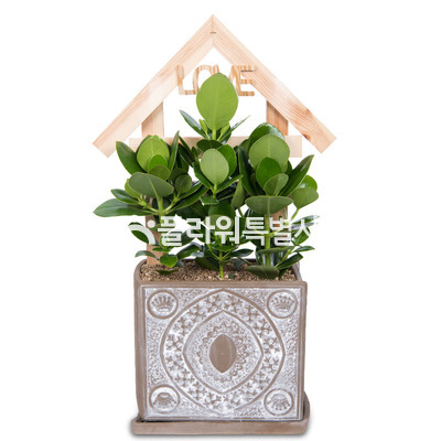 크루시아탁상용1