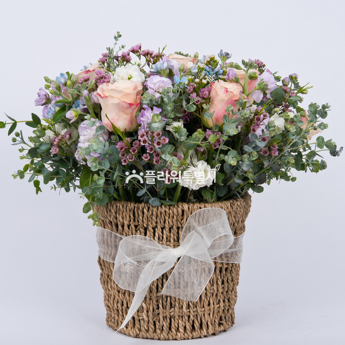 상세이미지