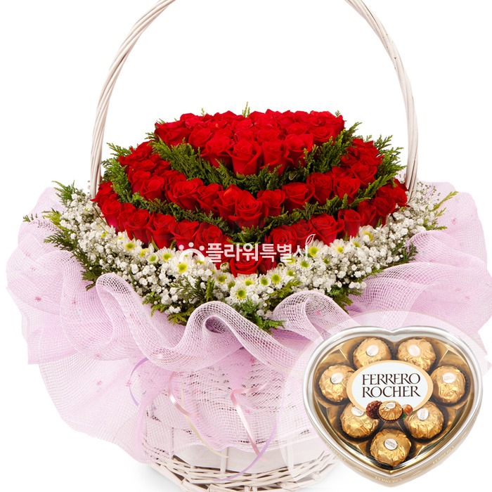 상세이미지