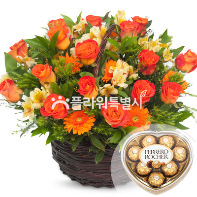 화려한 외출(초콜렛포함)