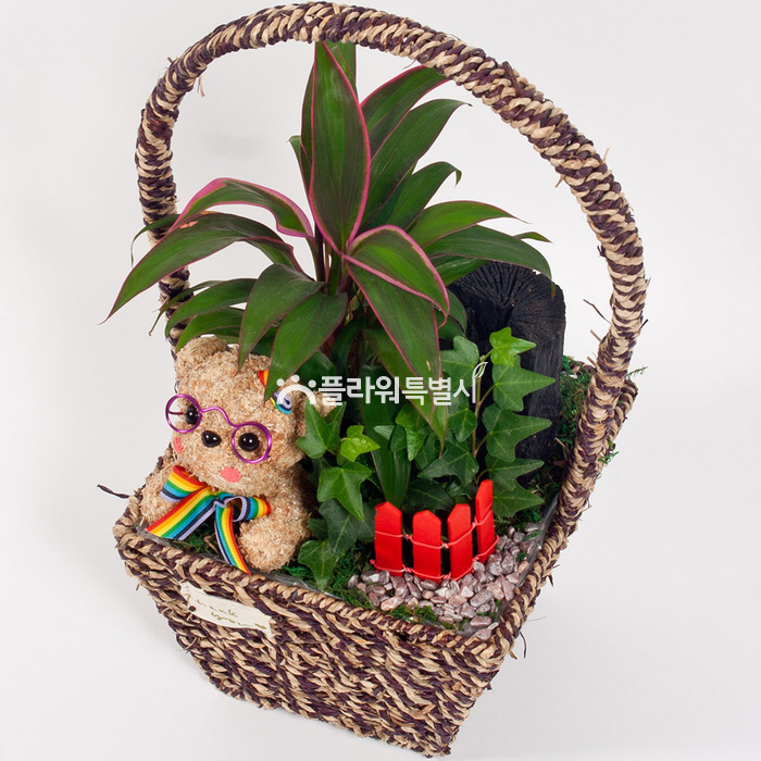 상세이미지
