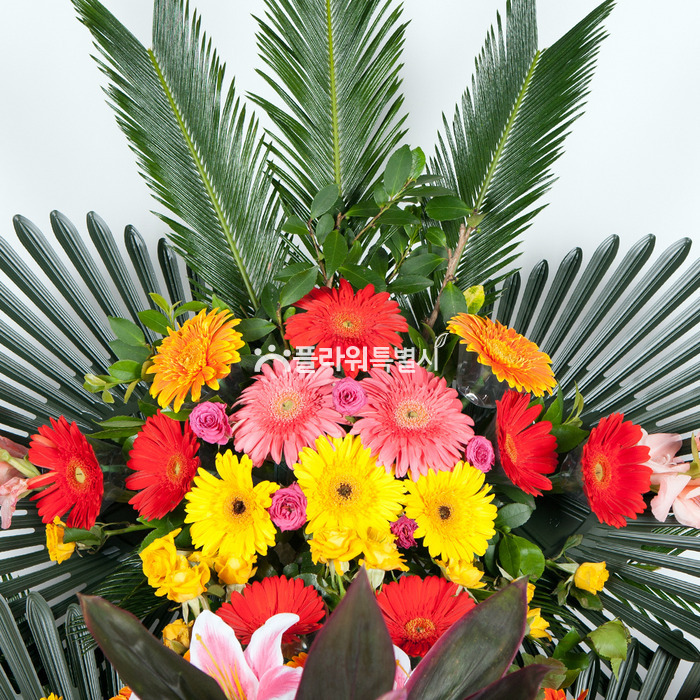 상세이미지