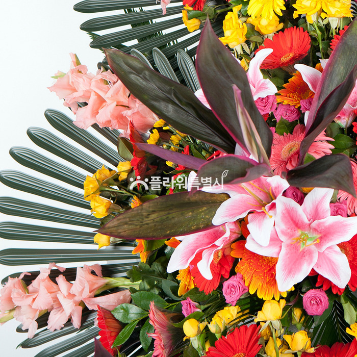 상세이미지