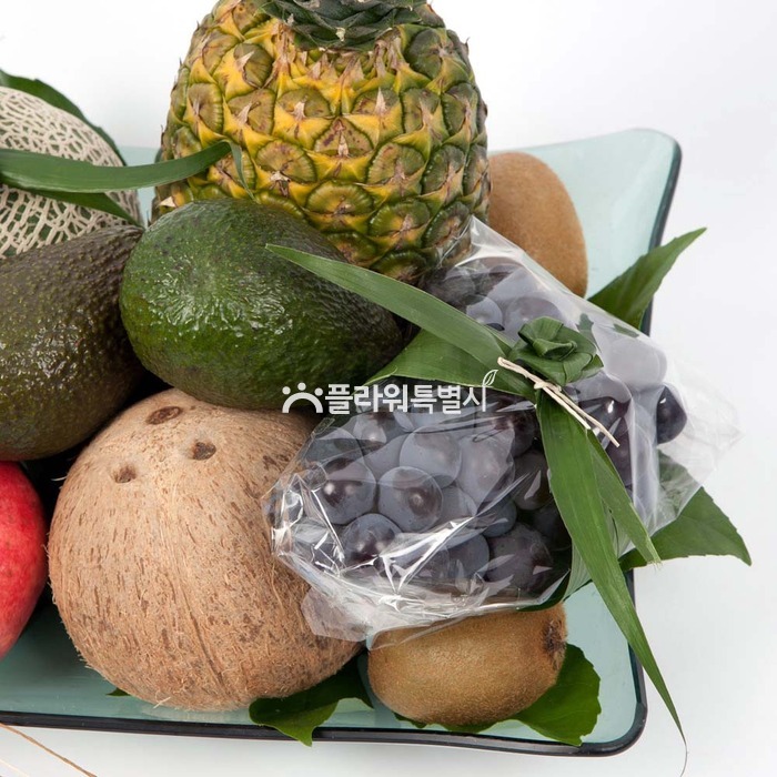 상세이미지