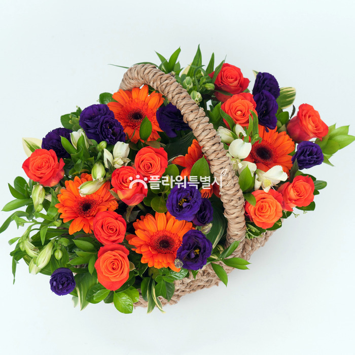 상세이미지