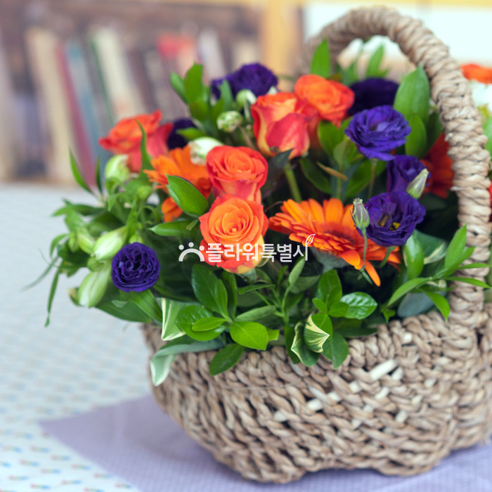상세이미지