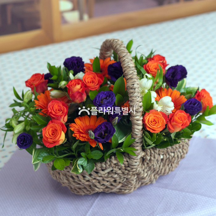 상세이미지