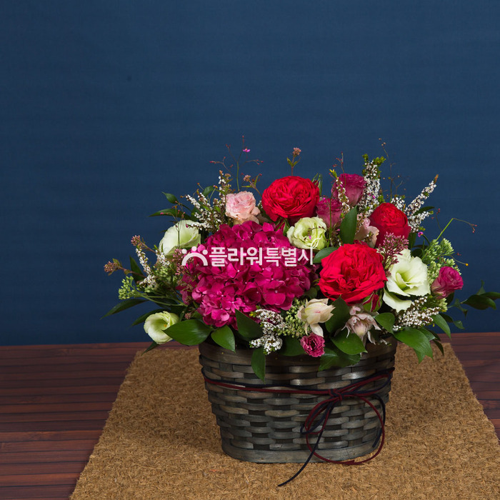 상세이미지