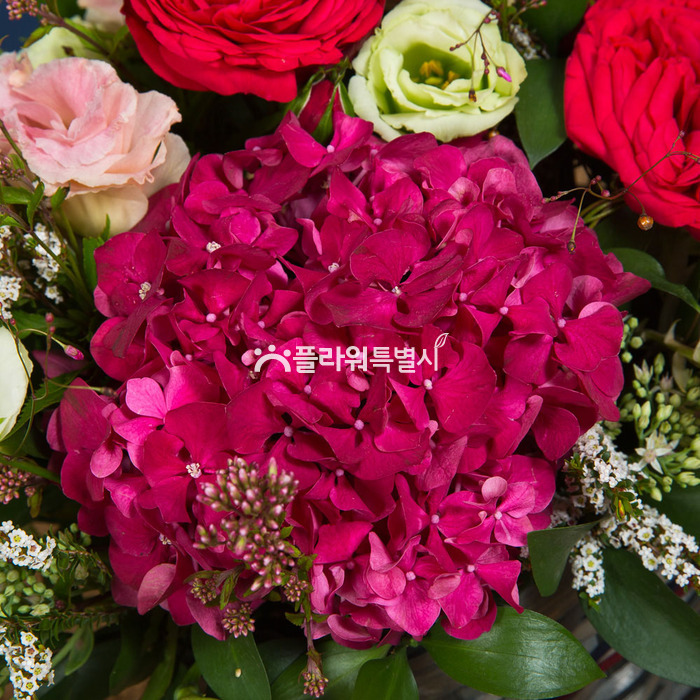 상세이미지