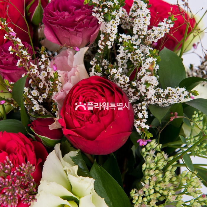 상세이미지