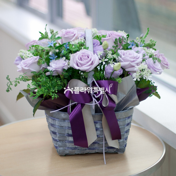 상세이미지