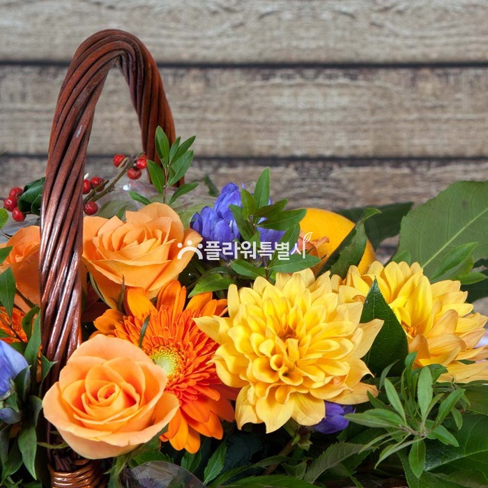 상세이미지