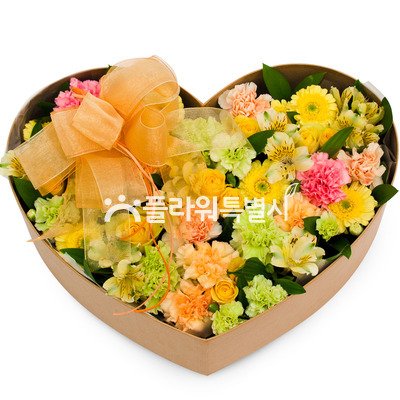 카네이션하트상자