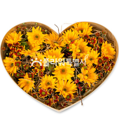 해바라기하트상자