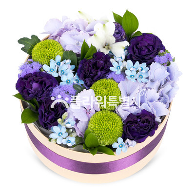 보랏빛꽃박스
