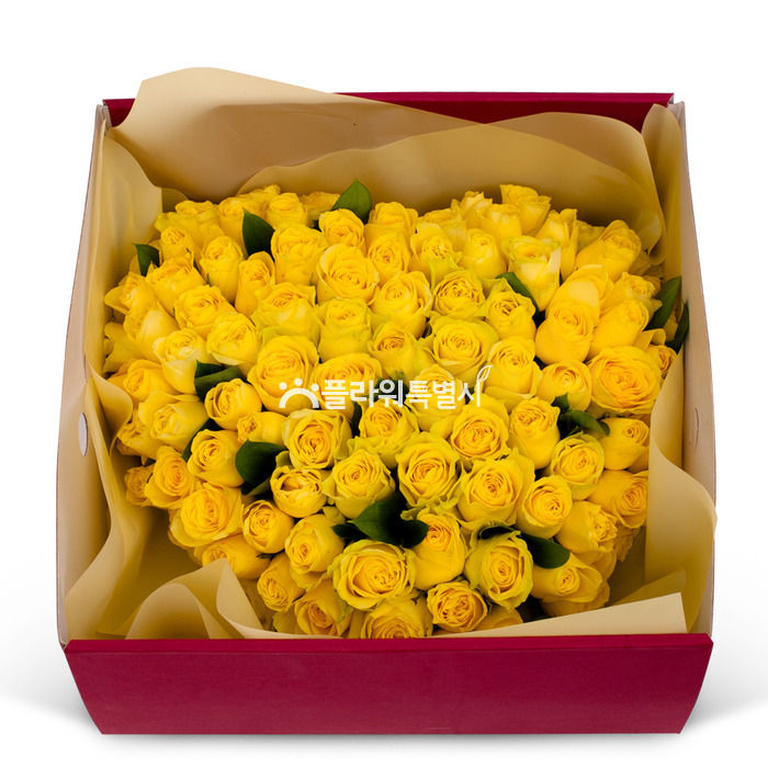 상세이미지