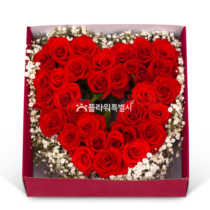 상세이미지