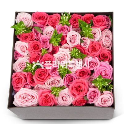 핑크장미혼합상자