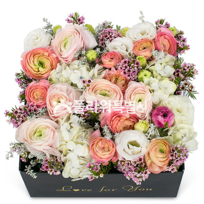 라넌꽃상자