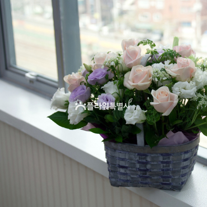 상세이미지