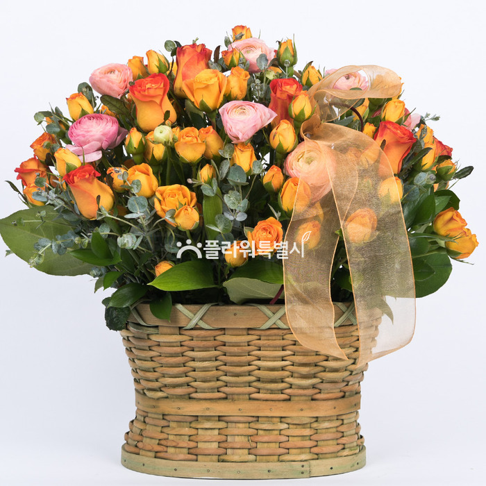 상세이미지
