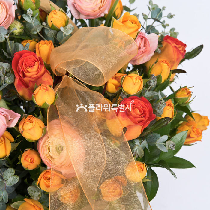 상세이미지