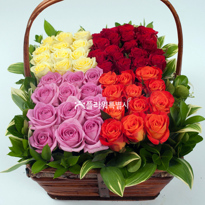 상세이미지