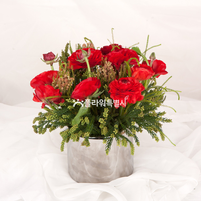 상세이미지