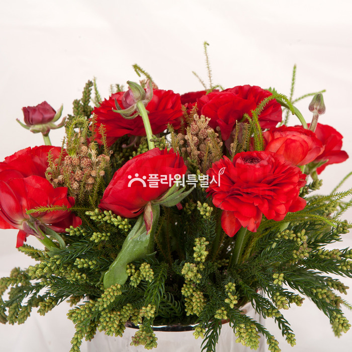 상세이미지