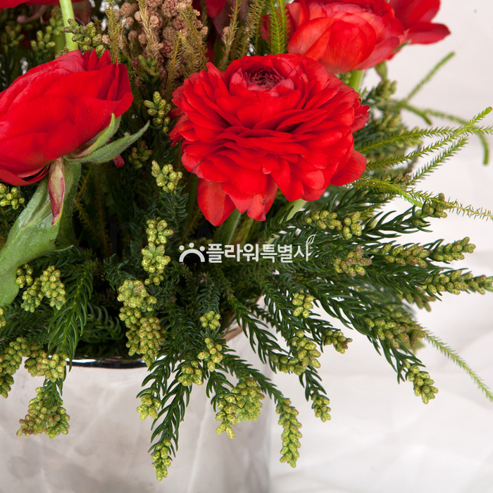상세이미지