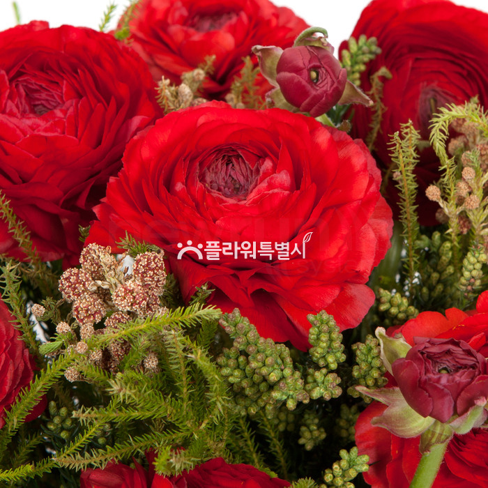 상세이미지