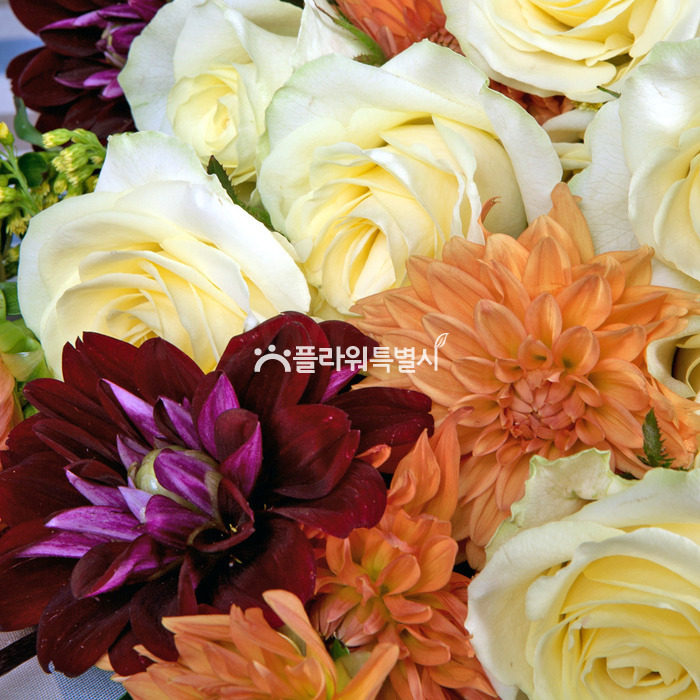 상세이미지