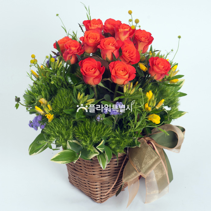 상세이미지