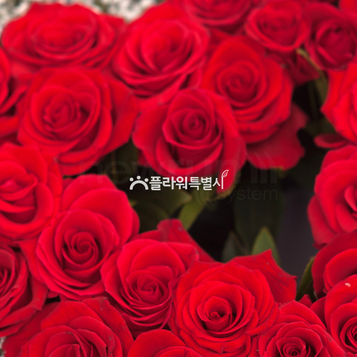 상세이미지